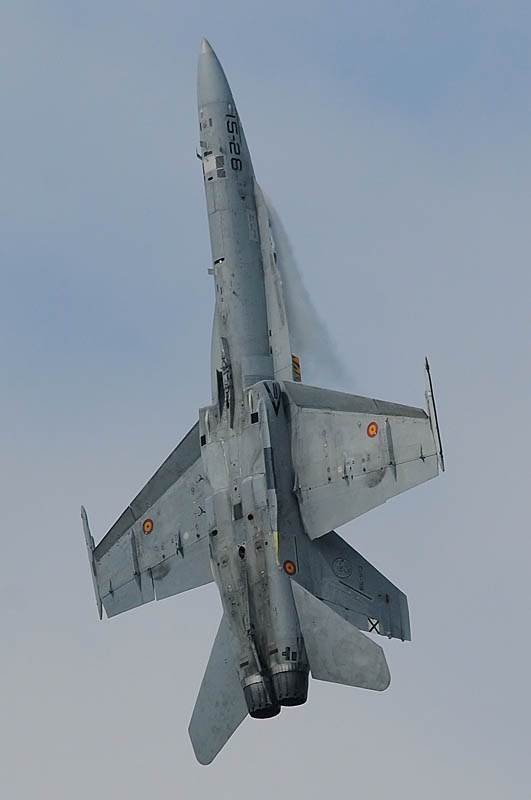 pic 22.jpg - Spanish Air Force EF-18M